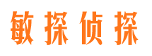 寻甸私家侦探公司